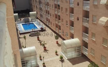 Apartment in Torrevieja, Spain, Playa del cura area, 2 bedrooms, 60 m2 - #BOL-TM1596C