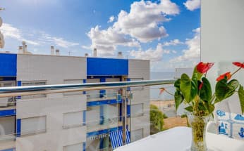 Apartment in Torrevieja, Spain, Playa de los locos area, 2 bedrooms, 55 m2 - #BOL-AM-01041