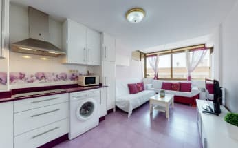 Apartment in Pilar de la Horadada, Spain, Mil Palmeras area, 1 bedroom, 29 m2 - #AGO-00CBS2242