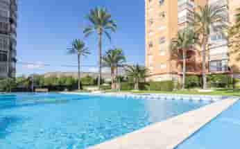 Apartment in Benidorm, Spain, Poniente area, 2 bedrooms, 48 m2 - #AGO-16845