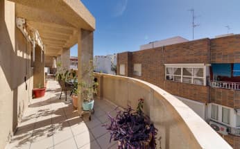 Penthouse in Torrevieja, Spain, Playa del cura area, 2 bedrooms, 61 m2 - #ASV-A2695FD/1142