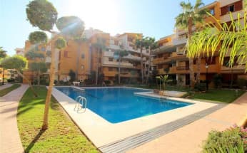 Apartment in Orihuela Costa, Spain, Punta Prima area, 2 bedrooms, 68 m2 - #BOL-CH020