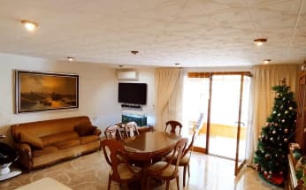 Apartment in Torrevieja, Spain, Centro area, 3 bedrooms, 117 m2 - #BOL-EXP05993