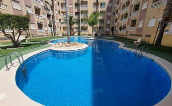 Apartment in Torrevieja, Spain, Centro area, 1 bedroom,  - #BOL-0-a99