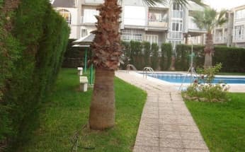 Apartment in Torrevieja, Spain, Curva del Palangre area, 2 bedrooms, 50 m2 - #BOL-24V009