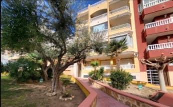 Apartment in Torrevieja, Spain, La Mata area, 3 bedrooms, 102 m2 - #BOL-EXP06413