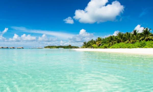 Испания или Дубай