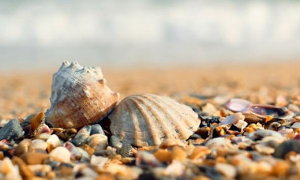 Прогнозы испанских специалистов