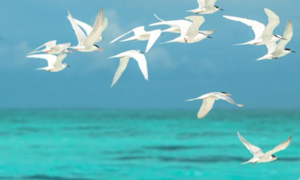 Рост цен на недвижимость в Испании 2022 году