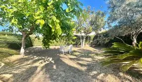 Buy real estate in Torrevieja, Spain. Los Balcones - Los Altos del Edén area, 3 bedrooms, 180 m2 - photo 6