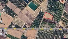 Real estate in Spain, Guardamar del Segura. CAMPO area, - photo 4