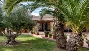 Real estate in Spain, Torrevieja. San luis area, 4 bedrooms, 371 m2 - photo 5