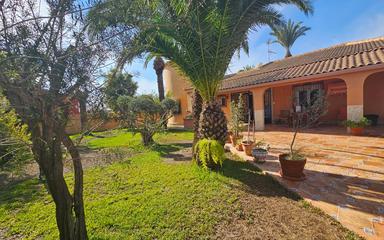 Torrevieja, España. Bienes raíces. Zona de la  San luis, 5 dormitorios, 558 m²