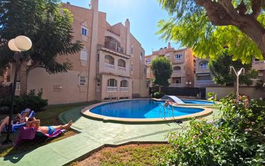 Torrevieja, real estate. Playa del Cura area, 24 m²