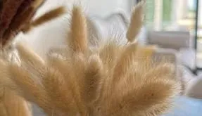 Property Spain, Bungalow. Pueblo area, 2 bedrooms, 63 m2 - photo 6