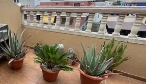 Comprar una propiedad en Guardamar del Segura, España. Zona de la  Pueblo, 3 dormitorios, 86 m² - photo 3