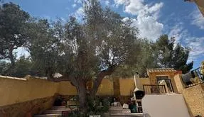 Buy an Town house in Orihuela Costa, Spain. Las Filipinas area, 6 bedrooms, 248 m² - photo 5