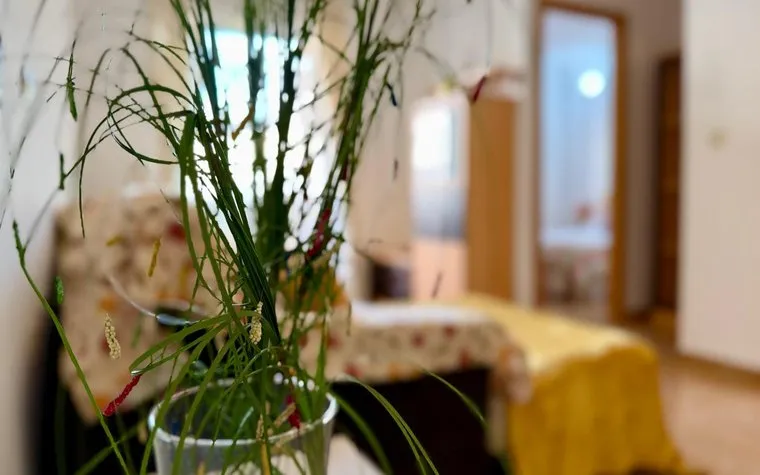 Comprar una vivienda en Torrevieja, España. Zona de la  El Molino, 2 dormitorios, 74 m²