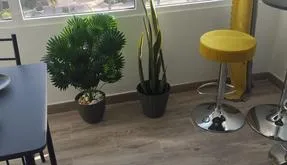 Buy an Apartment in Guardamar del Segura, Spain. Pinomar area, 2 bedrooms, 42 m² - photo 2