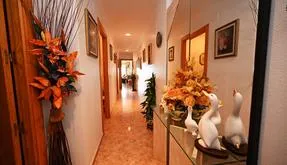 Torrevieja, España. Bienes raíces. Zona de la La Mata, 3 dormitorios, 115 m² - photo 5