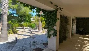 Torrevieja real estate, Villa for sale. La Siesta area, 5 bedrooms, 220 m² - photo 6