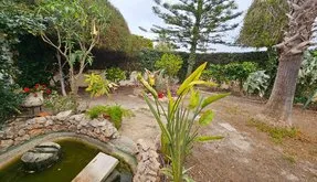 Купить Таунхаус в Торревьеха, Испания. Район El chaparral, 3 спальни, 267 m² - photo 3