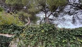 Torrevieja, bienes raíces. Zona de la Punta Prima, 3 dormitorios, 107 m² - photo 4