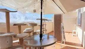 Buy an Penthouse in Torrevieja, Spain. torrevieja area, 2 bedrooms, 49 m² - photo 2