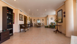 Apartment in Torrevieja, Spain, El molino area, 5 bedrooms, 228 m2 - #ASV-AG32/1350 image 1