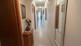 Apartment in Torrevieja, Spain, Acequion area, 2 bedrooms, 74 m2 - #ASV-AP1-214/4147 image 5