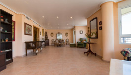 Apartment in Torrevieja, Spain, El molino area, 5 bedrooms, 228 m2 - #ASV-AG32/1350 image 2