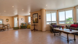 Apartment in Torrevieja, Spain, El molino area, 5 bedrooms, 228 m2 - #ASV-AG32/1350 image 3