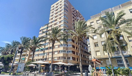 Apartment in Torrevieja, Spain, Paseo maritimo area, 3 bedrooms, 65 m2 - #BOL-GT20242570-3 image 0