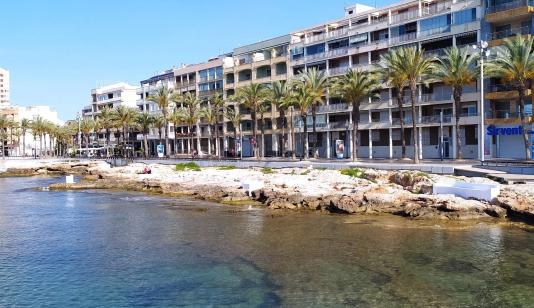 Apartment in Torrevieja, Spain, Estacion de autobuses area, 4 bedrooms, 97 m2 - #BOL-C046 image 0