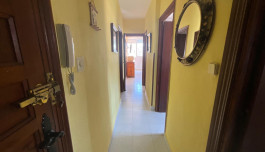 Piso en Torrevieja, España, zona de la La Mata, 1 dormitorio, 48 m2 - #BOL-VT2299 image 2