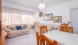 Apartment in Torrevieja, Spain, Paseo maritimo area, 3 bedrooms, 65 m2 - #BOL-GT20242570-3 image 3