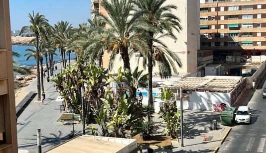 Apartment in Torrevieja, Spain, Paseo maritimo area, 4 bedrooms, 120 m2 - #BOL-GT2023503-4 image 0